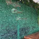 WhatsApp Image 2025-07-16 at 09.11.43