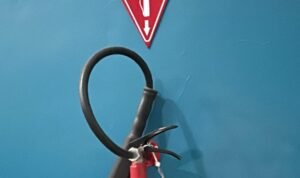 WhatsApp Image 2025-08-25 at 14.18.24