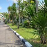 WhatsApp Image 2025-08-26 at 16.33.59