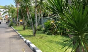 WhatsApp Image 2025-08-26 at 16.33.59