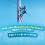 WhatsApp Image 2025-09-22 at 11.53.47