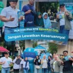 WhatsApp Image 2026-01-08 at 10.30.11