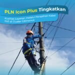 WhatsApp Image 2026-01-18 at 17.16.56