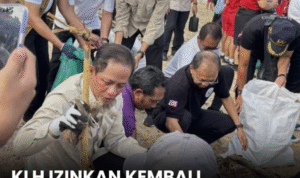 Screenshot 2026-03-06 213917